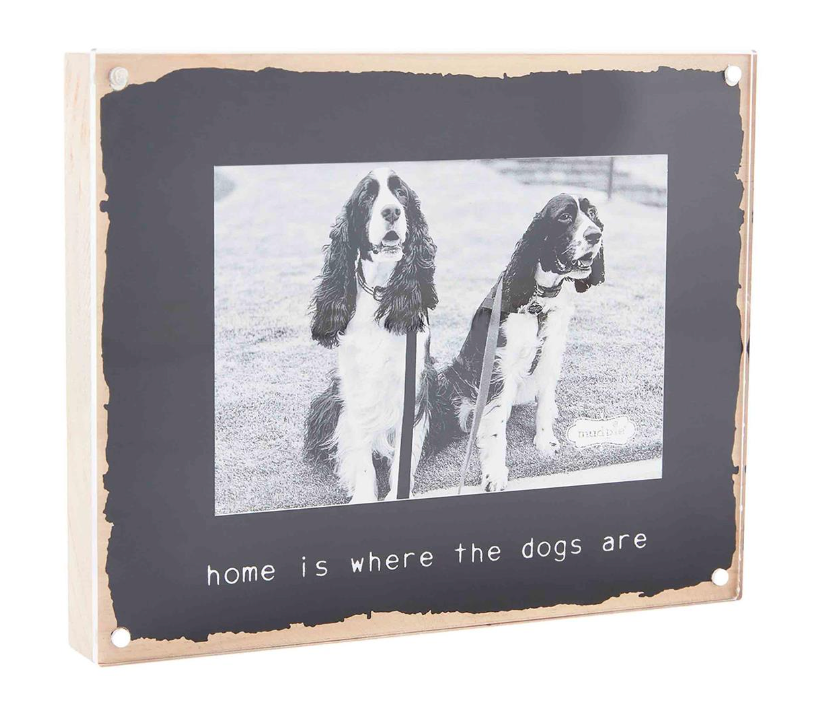 Dog magnetic Frame