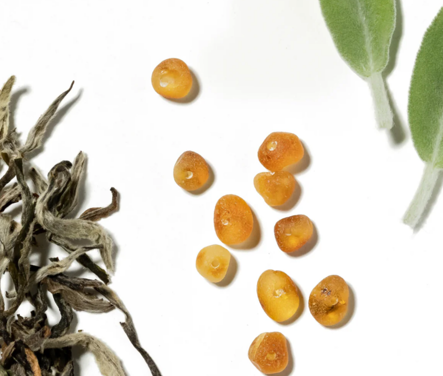 Pura Car Scent-White Tea