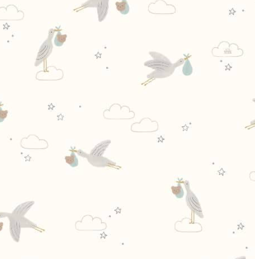 Beary Special Delivery Footie