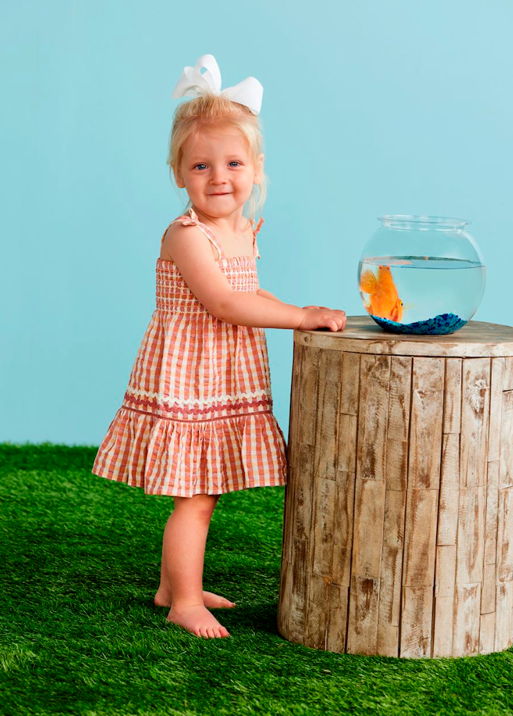 Smocked Check Dress