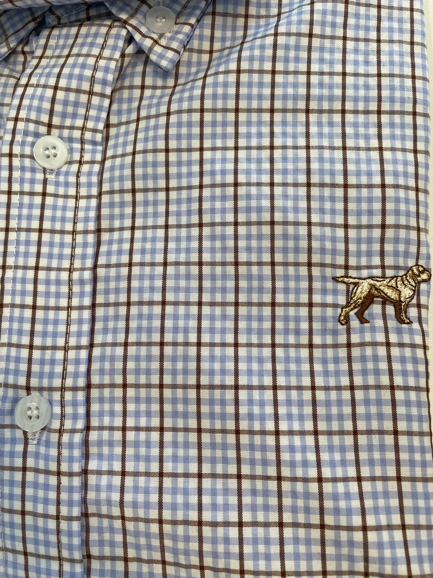 Mason Button Down