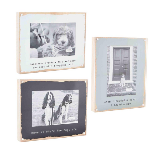 Dog magnetic Frame