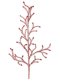 Chenille Stripe Manzanita Branch 48"