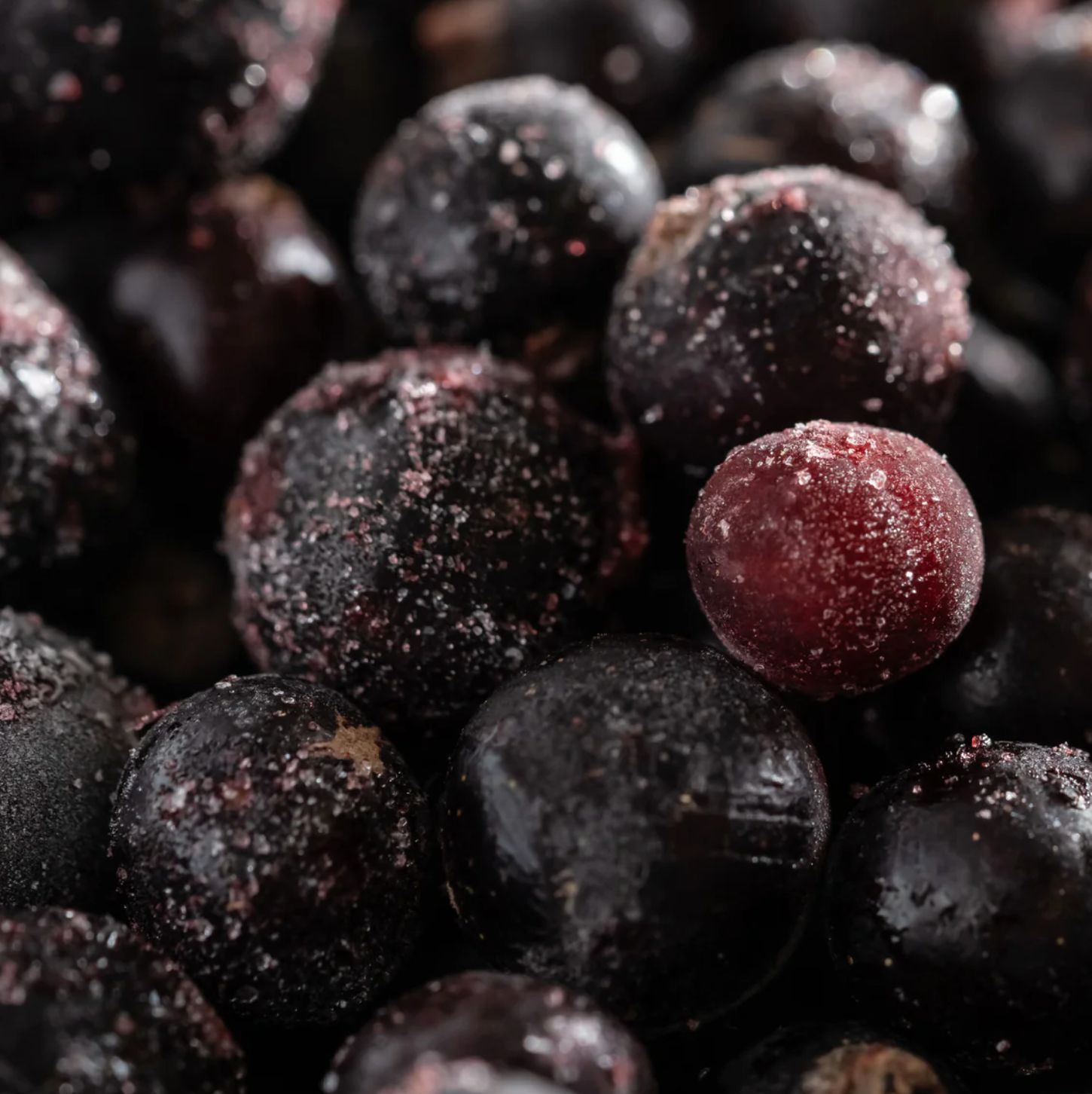 Pura Refill-Juicy Acai