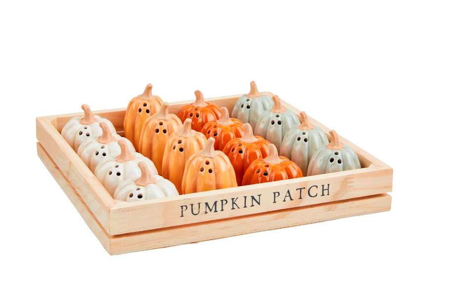 Pumpkin Salt & Pepper Shakers SET A