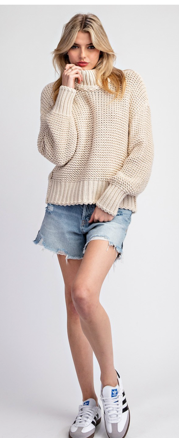 Turtle Neck Long Sleeve Sweater