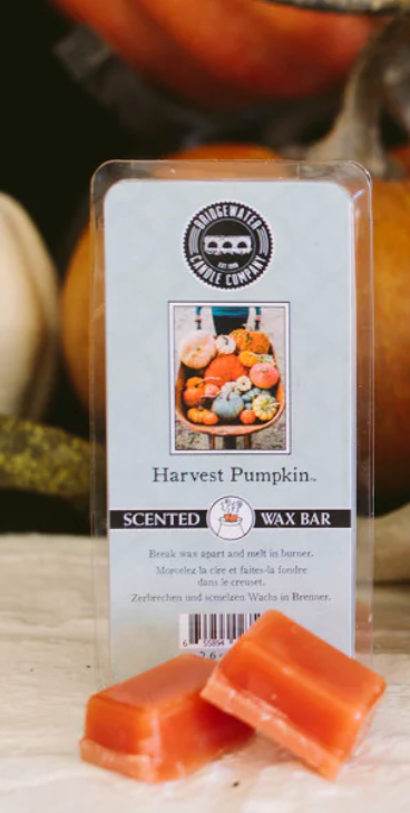 Harvest Pumpkin Wax Melt