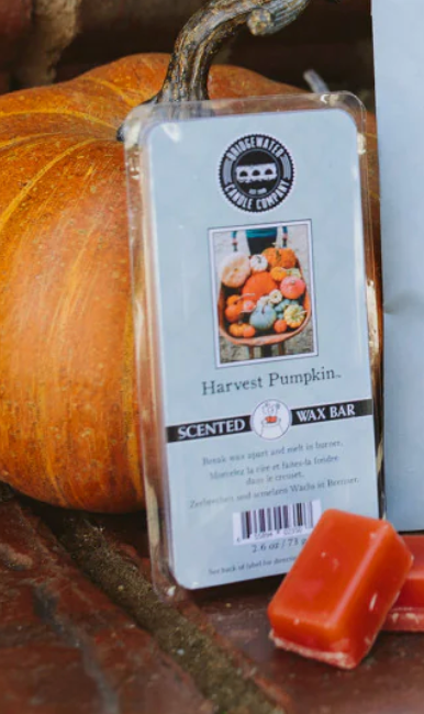 Harvest Pumpkin Wax Melt