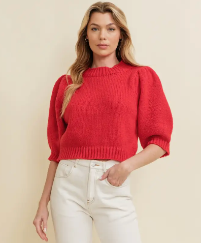 Puff Shoulder Short Sleeve Sweater