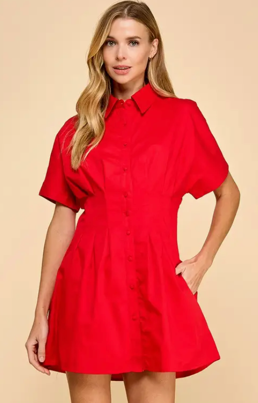 Button Up Collared Side Pockets Dress