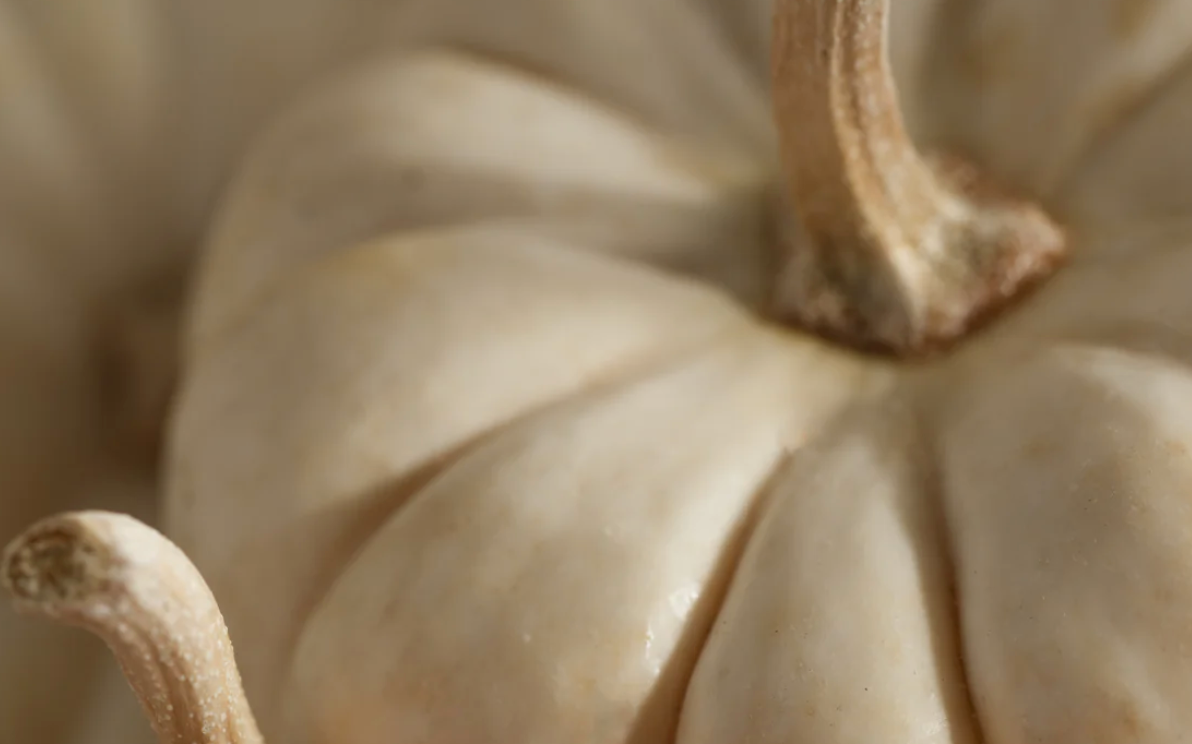 Pura Refill-White Pumpkin