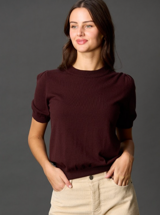Knit Short Sleeve Puff Sleeve Top