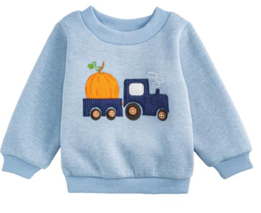 Pumpkin Toddler Sweatshirt