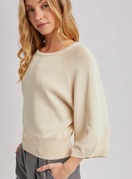 Wide Sleeved Crew Neck Knit Pullover