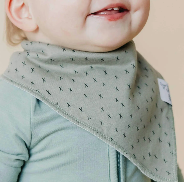 Baby Bandana Bibs - Alta