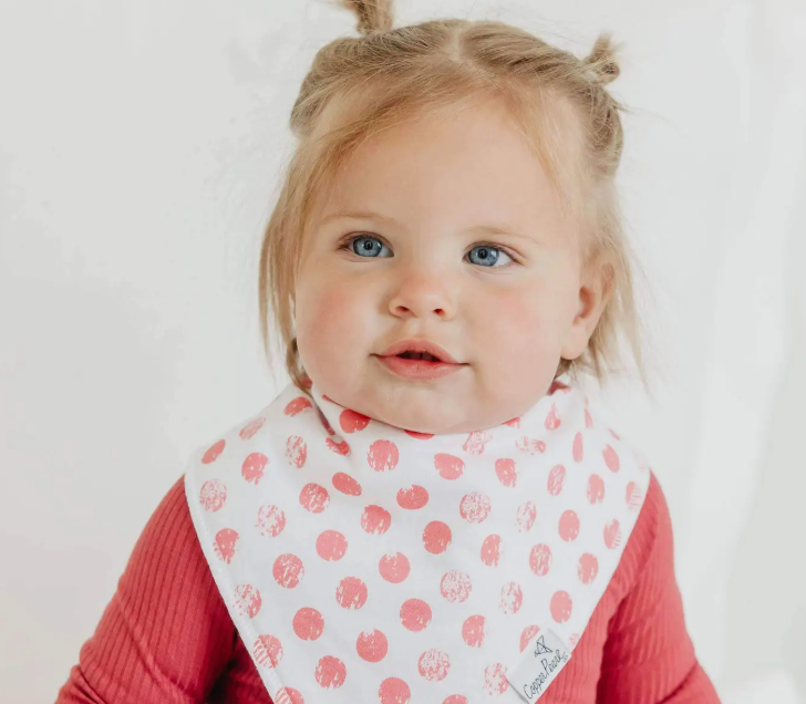 Baby Bandana Bibs - Claire