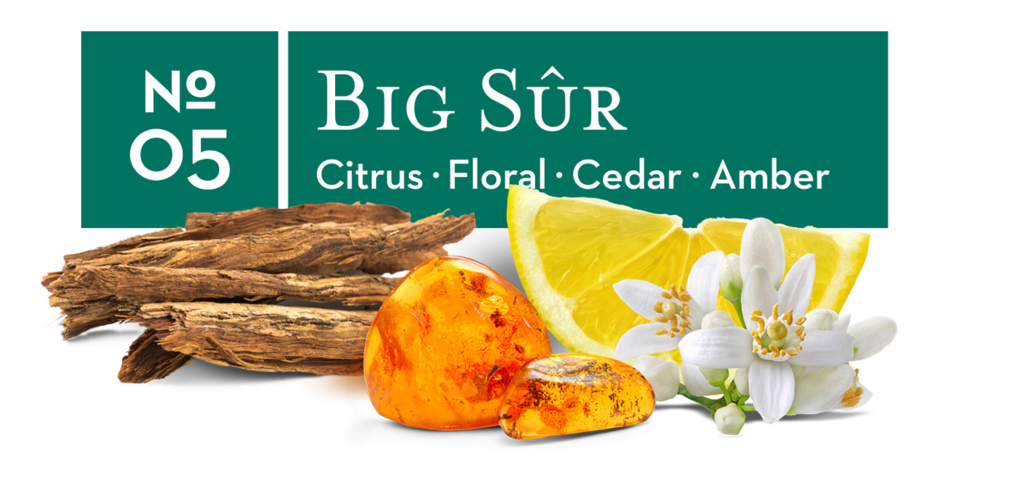 Counter Spray - Big Sur