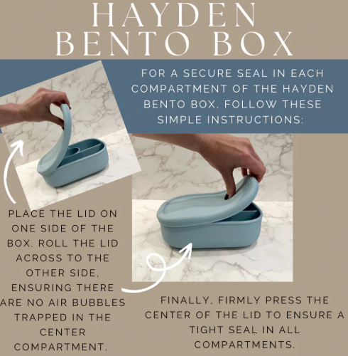 Hayden Bento Box - Pine