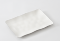 Rectangular Platter-Silver