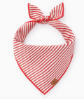 Red Stripe Dog Bandana
