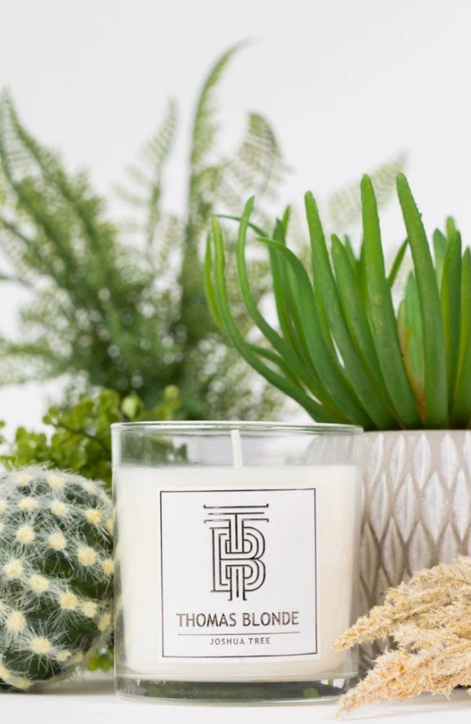 Candle - Joshua Tree