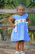 Blue Pumpkin Smock Embroidery Dress
