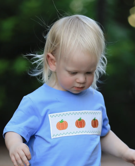 Blue Pumpkin Smock Embroidery set