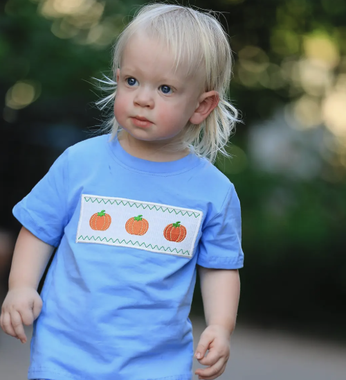 Blue Pumpkin Smock Embroidery set