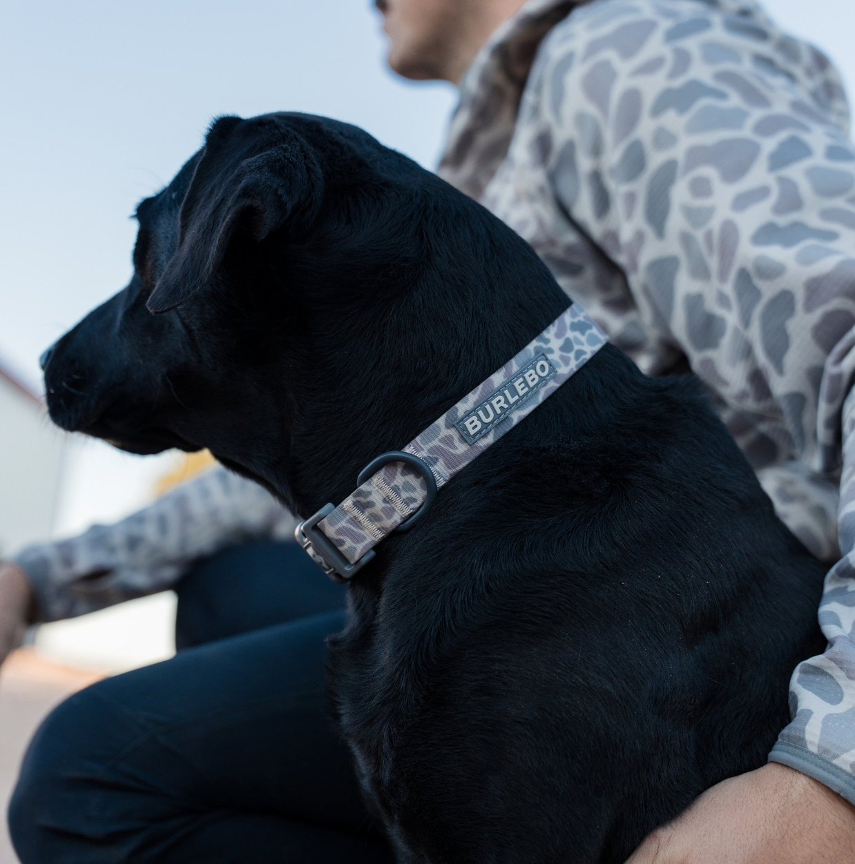 Burlebo Dog Collar Classic Deer - S/M