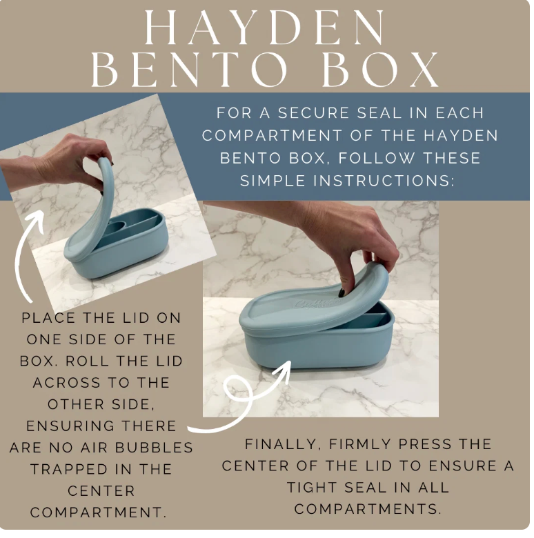Hayden Bento Box -Powder Blue