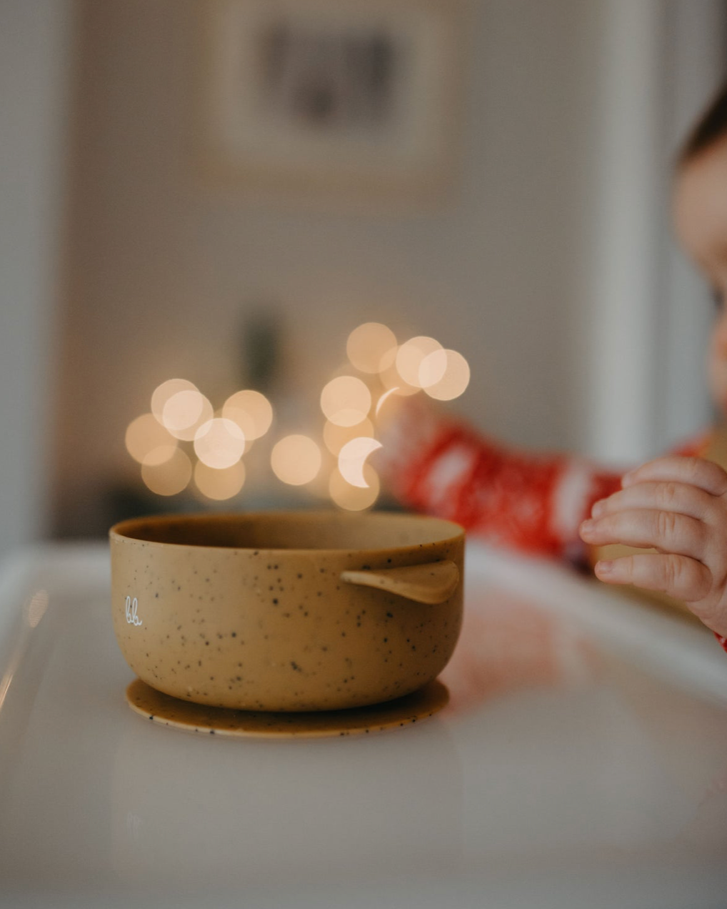 Silicone Suction Bowl w/Lid