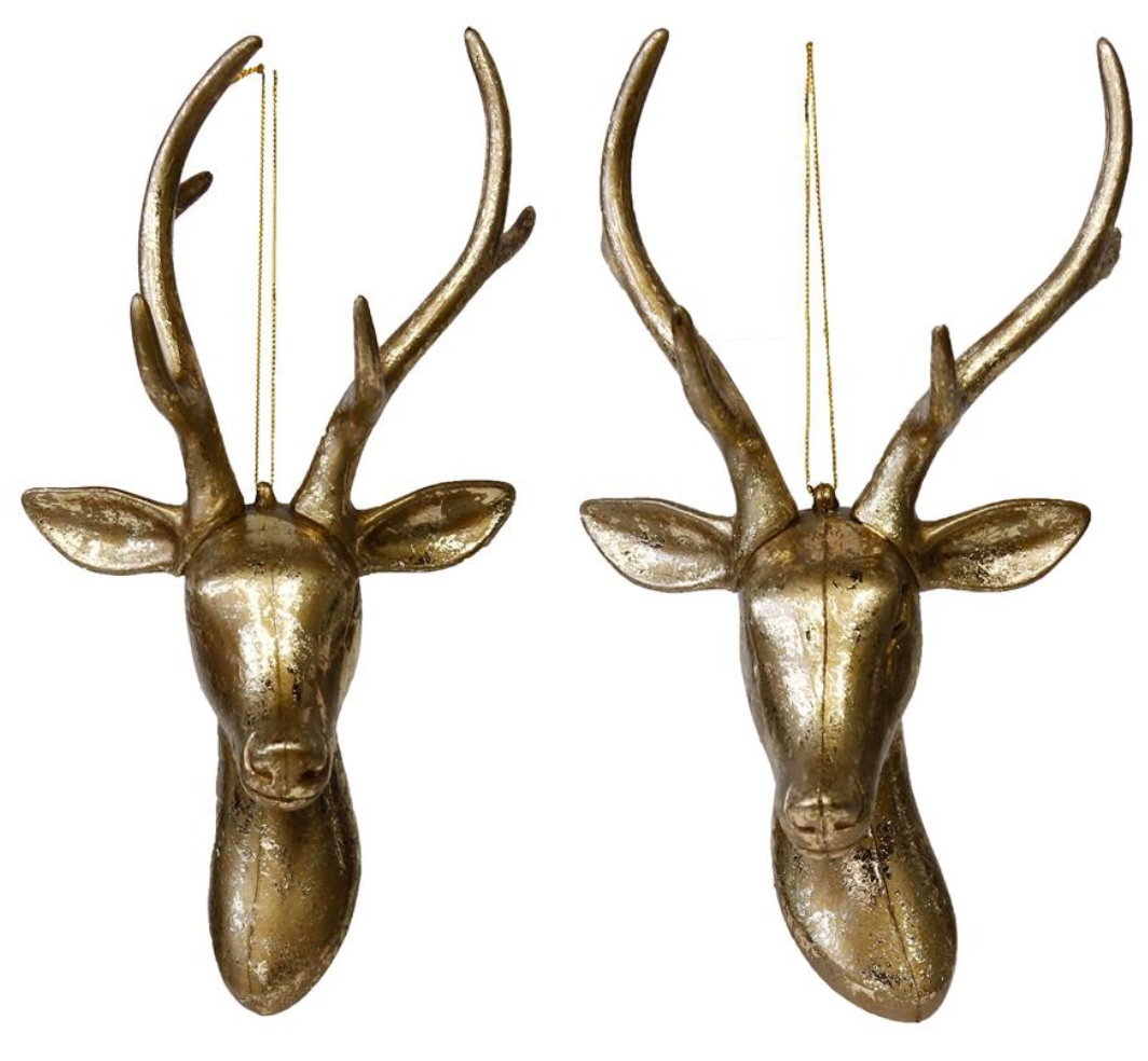 Deer Head w/ Antlers